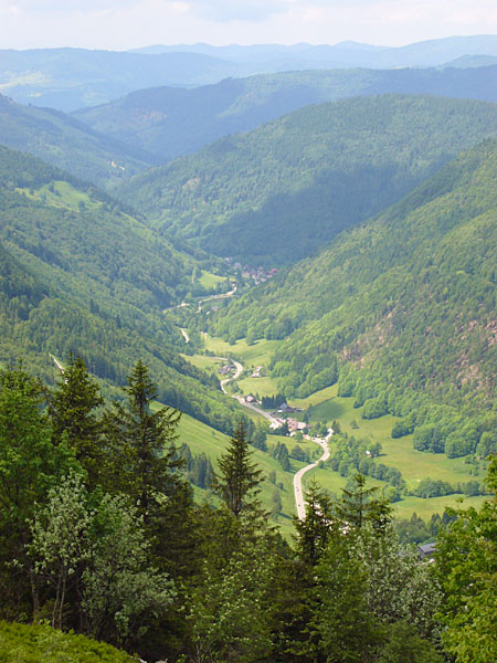 Blick ins Tal