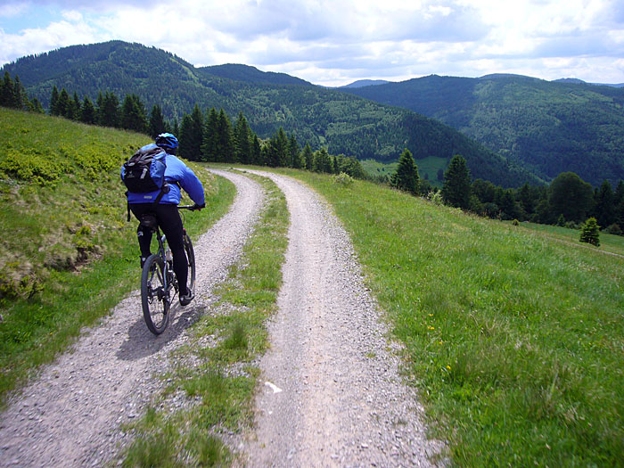 Vom Feldberg nach Todtnau