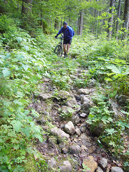 Da haben wir lieber geschoben