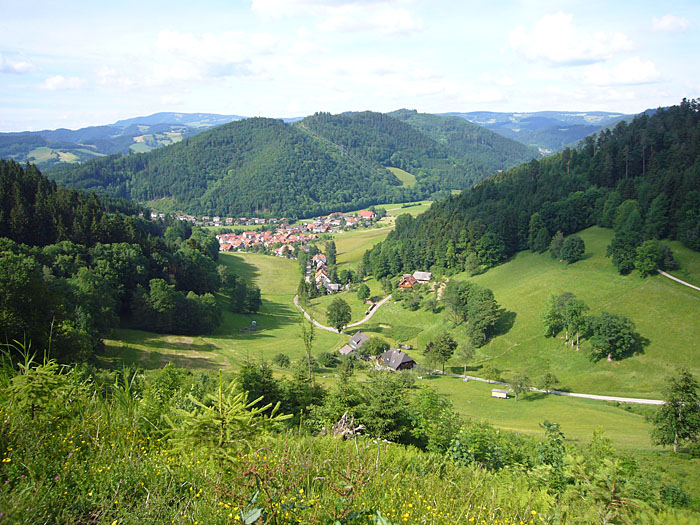 Blick auf Buchenbach