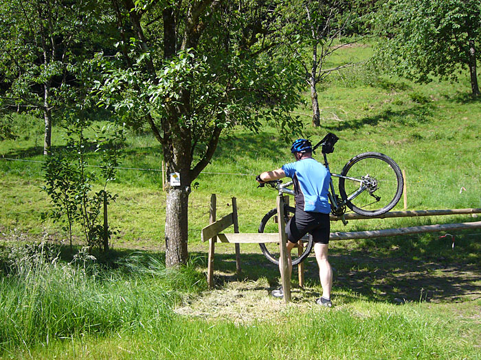 Mit dem Rad durch's Kuhgatter