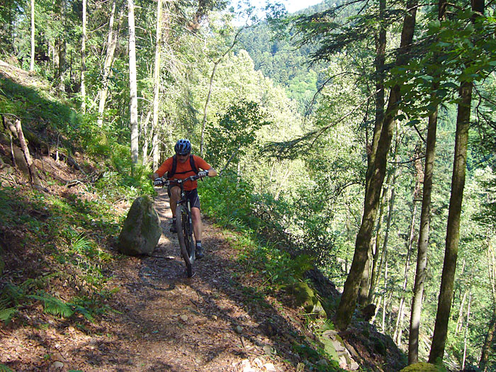 Bl&ouml;dsinn machen und dann fast den Abhang runter st&uuml;rzen ;-)