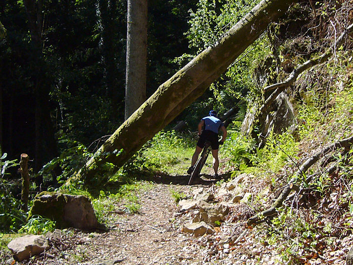Gut das wir einen Helm haben