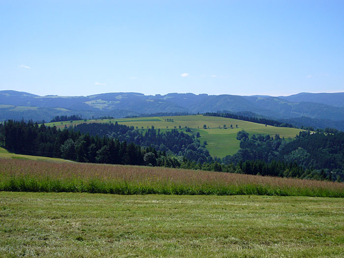 ... freuen wir uns &uuml;ber sch&ouml;ne Ausblicke