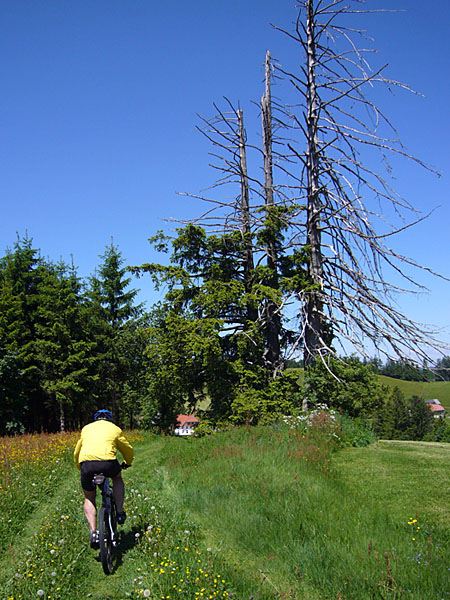 Weg um St. M&auml;rgen herum