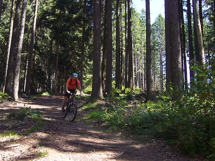 Durch den Wald nach St. Peter