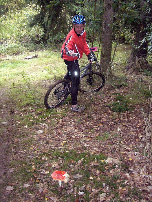 Reini fotografiert Pilze ;-)