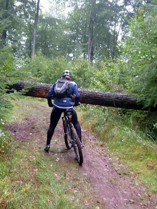 ... hat ein Hindernis