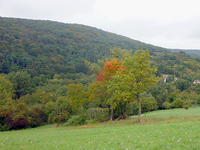 Zwischendurch kommen mal keine Tropfen vom Himmel