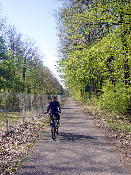 Waldweg beim KIT - Campus Nord