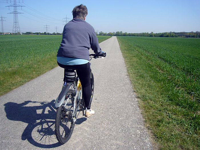 Wirtschaftsweg bei Hochstetten