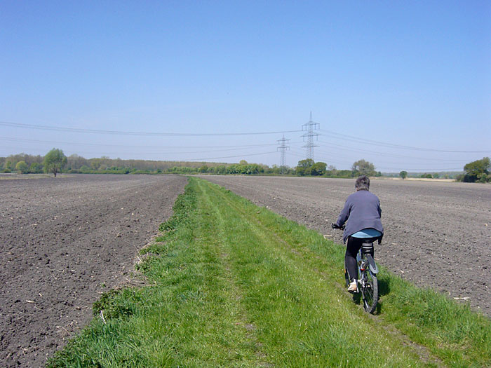 Feldweg bei den Rheinauen