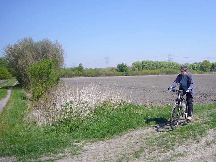Vroni in Feld und Flur