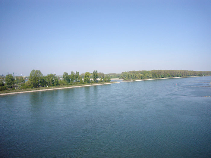 Der Rhein bei Germersheim