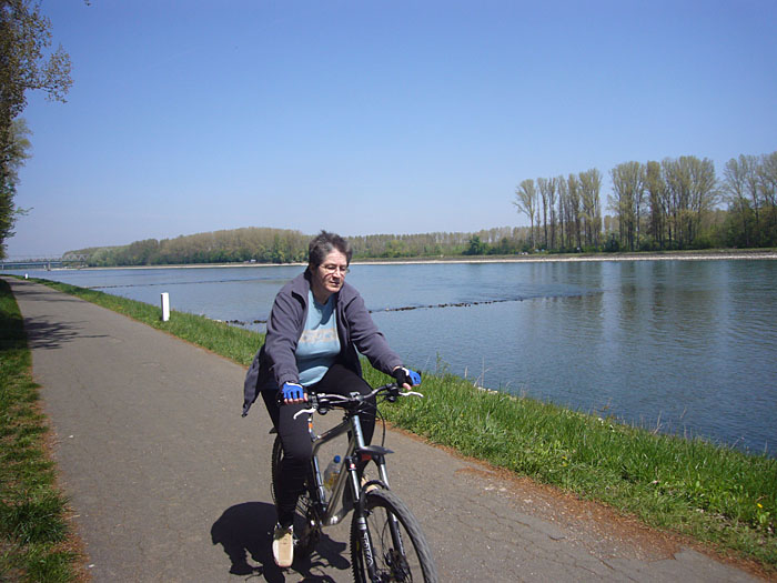 Der Rheinradweg auf der Pf&auml;lzer Seite
