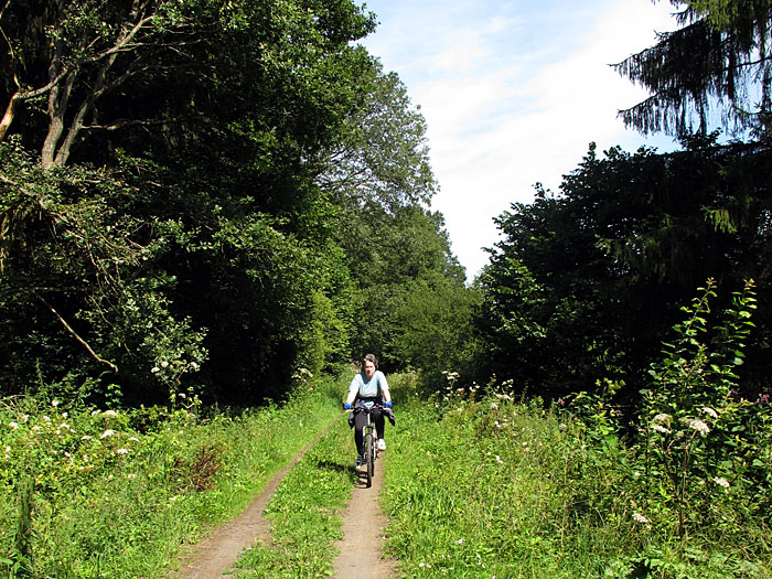 Ein St&uuml;ck weit fahren wir &uuml;ber Waldwege