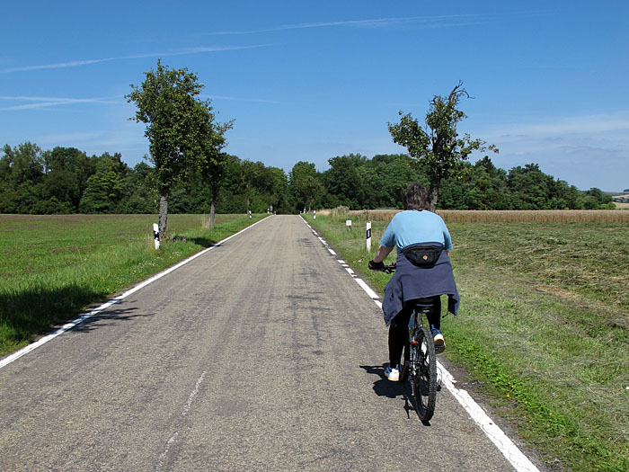 R&uuml;ckweg nach Zweibr&uuml;cken