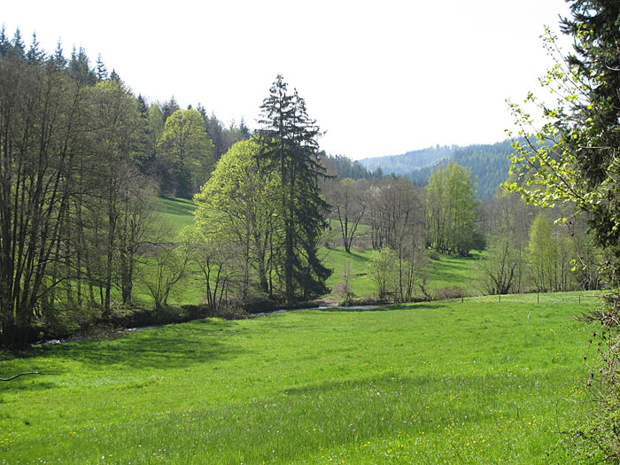 Der Fr&uuml;hling zeigt seine Farben