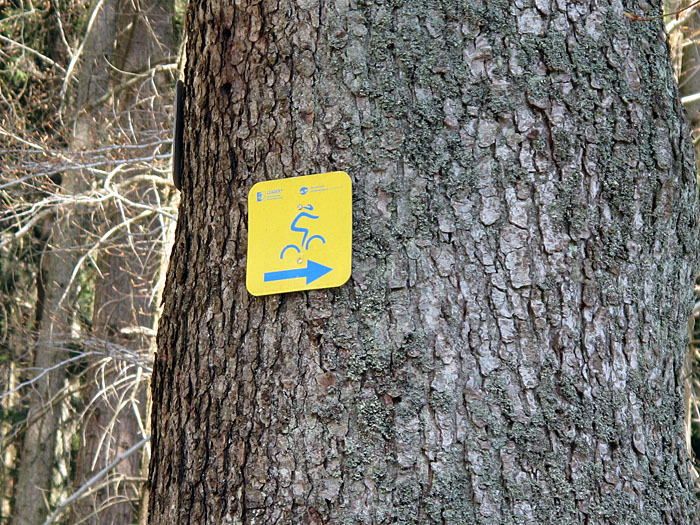 Als Radweg ausgeschildert ...