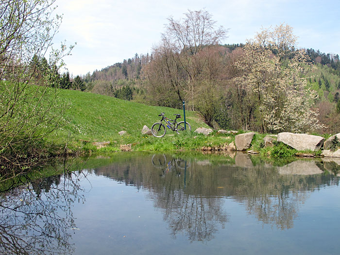 Teich am Ri&szlig;br&uuml;nnle