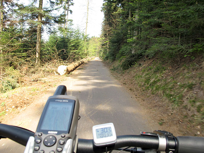 &Ouml;stlicher Albtalweg