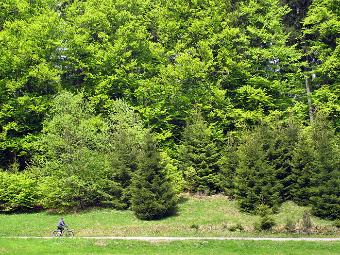 Nach der K&auml;lte und dem Regen bis Ende Mai, haben wir endlich Sommerwetter
