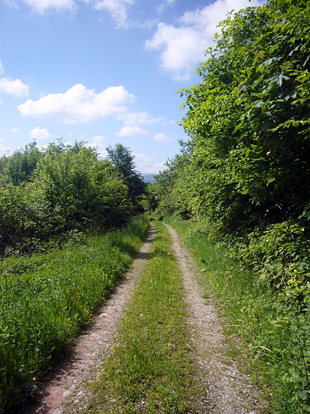Tolles Wetter und freie Bahn