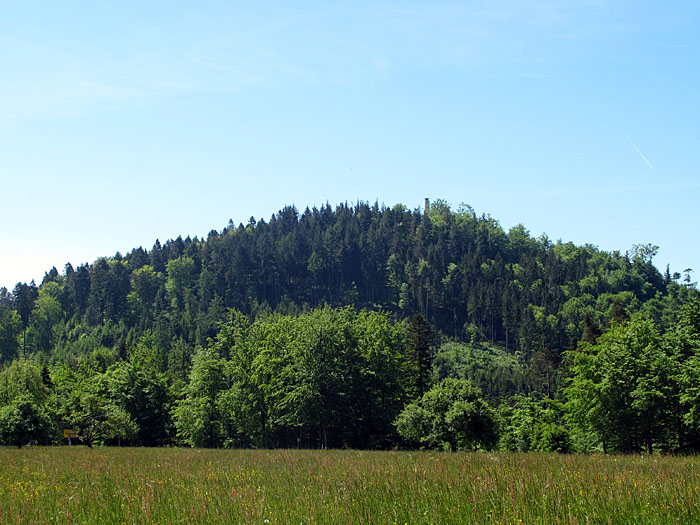 Da isser endlich, der Mahlberg. Die Turmspitze lugt etwas heraus