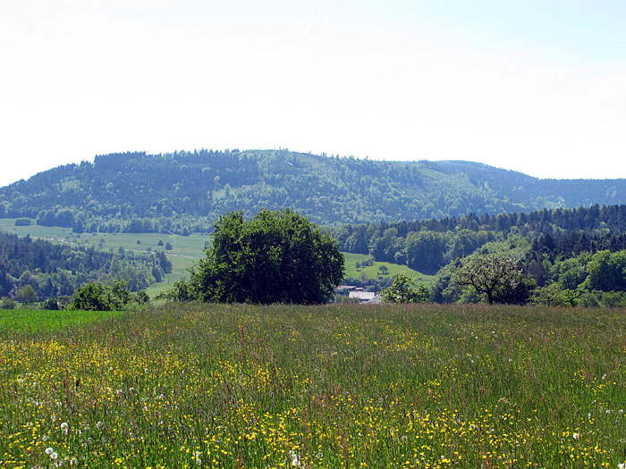 Fr&uuml;hlingslandschaft