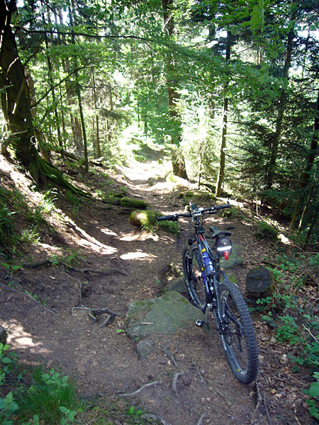 Hier wird der Trail etwas holpriger ;-)