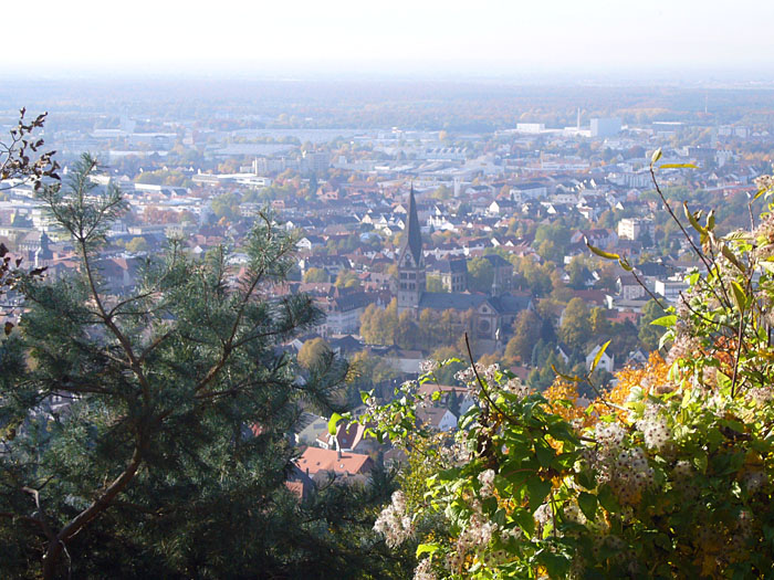 Blick auf Ettlingen