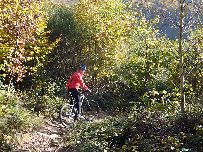 Singletrail nach Ettlingen