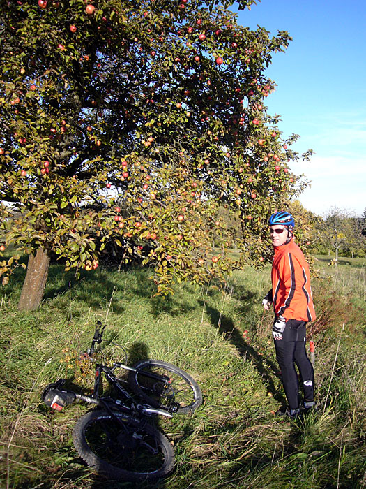 ... doch die Fr&uuml;chte sind noch nicht reif