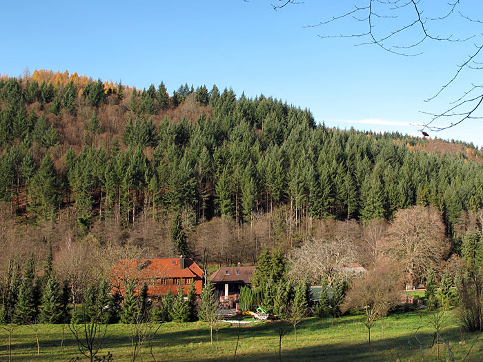 Sch&ouml;nes Schwarzwaldwetter