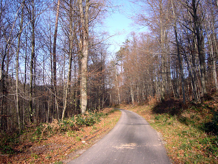 Waldweg an der Alb