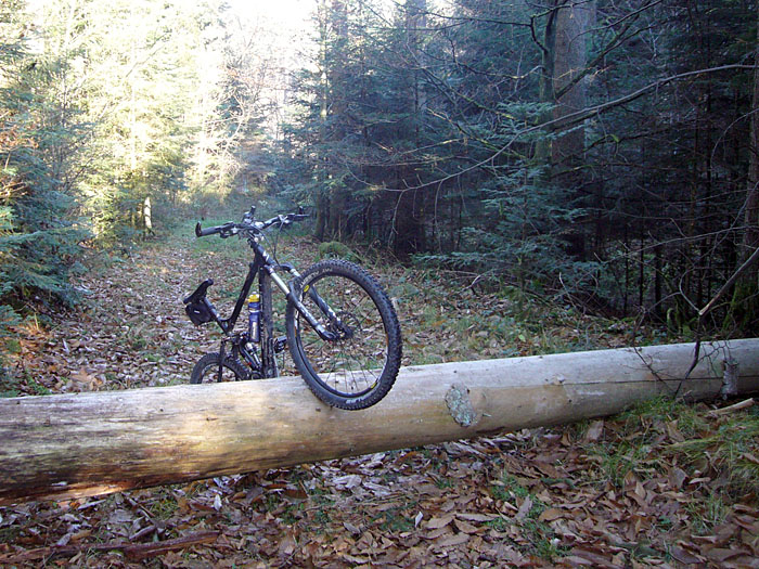 &Uuml;bliche Hindernisse