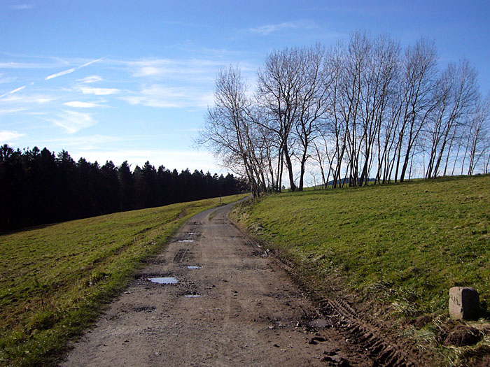 Da geht's Richtung Dobel