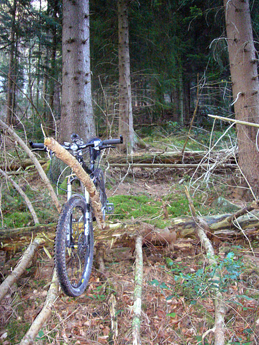Auf einmal war der Weg zuende