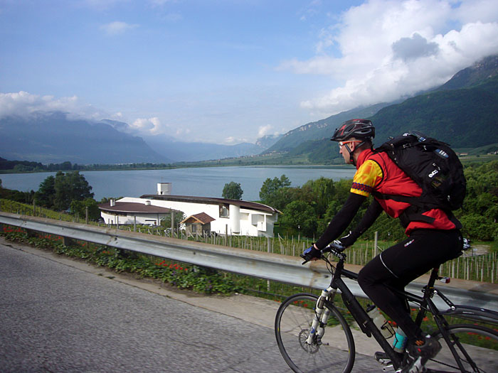 Bj&ouml;rn mit Blick auf den See