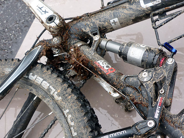 Kein Wunder war der Bock so schwer