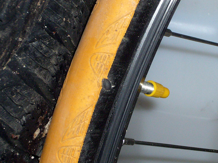 F&auml;ngt schon gut an, vor der Tour wird noch ein neuer Mantel montiert