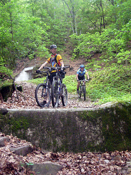Steinerne H&uuml;rde
