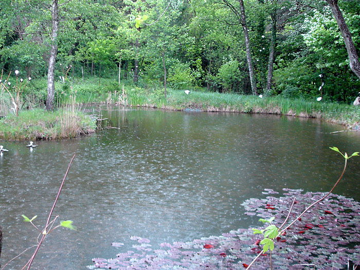 Jetzt f&auml;ngt der Himmel an zu weinen :-(