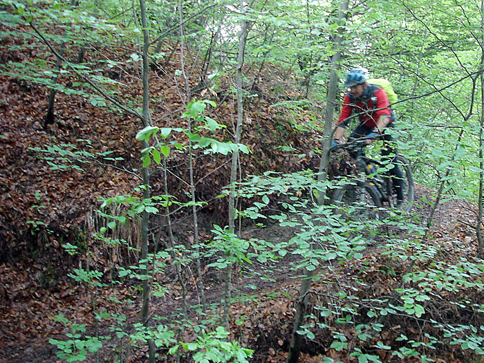 ... und zugewachsene Wege