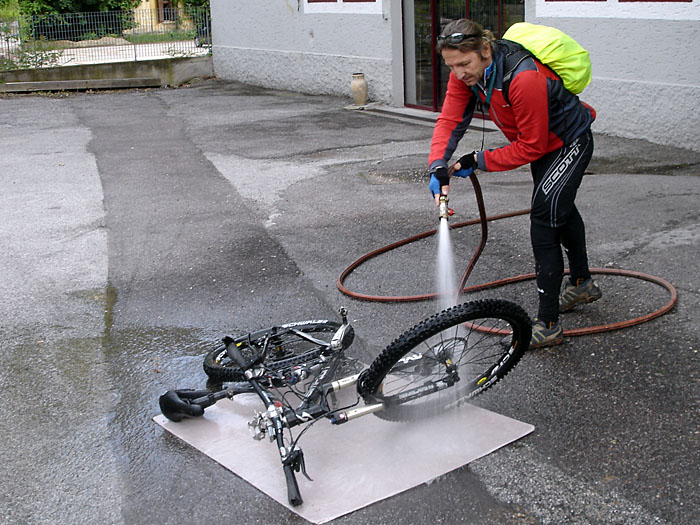 Die Bikes werden vom Wald befreit