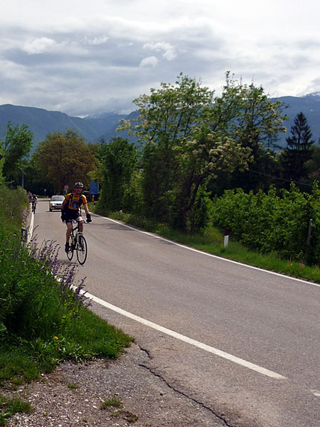 Bj&ouml;rn am Anstieg