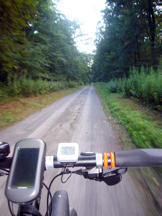 Einige Kilometer lege ich auf schottrigen Waldwegen zurück