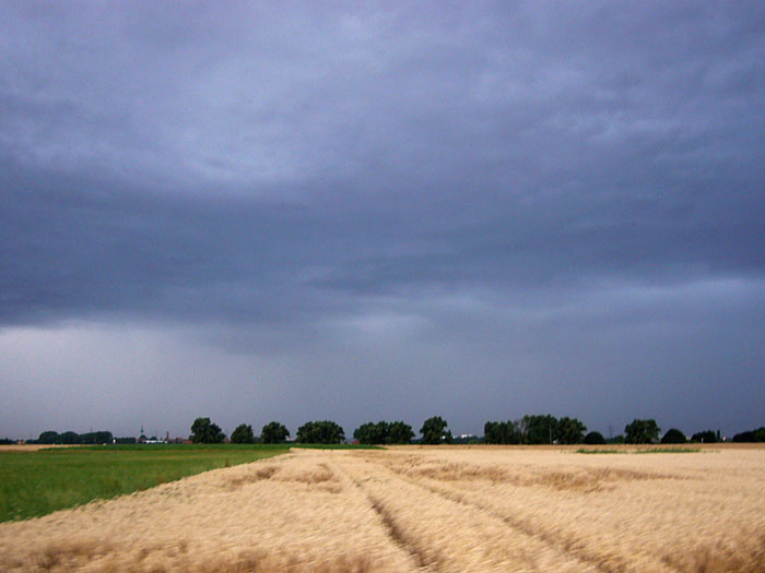 Oweh, da kommt feuchtes auf mich zu :-(