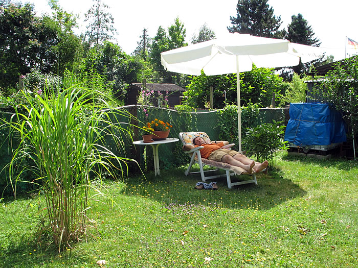 Die wohlverdiehnte Ruhe