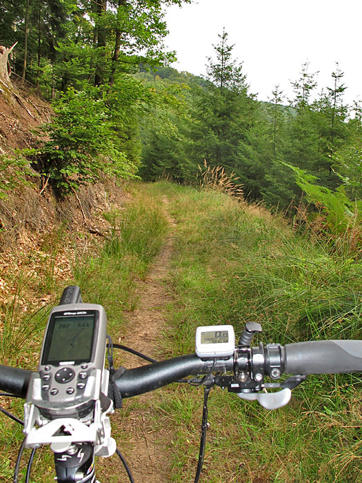 Heute fehlt der blaue Himmel von gestern :-(